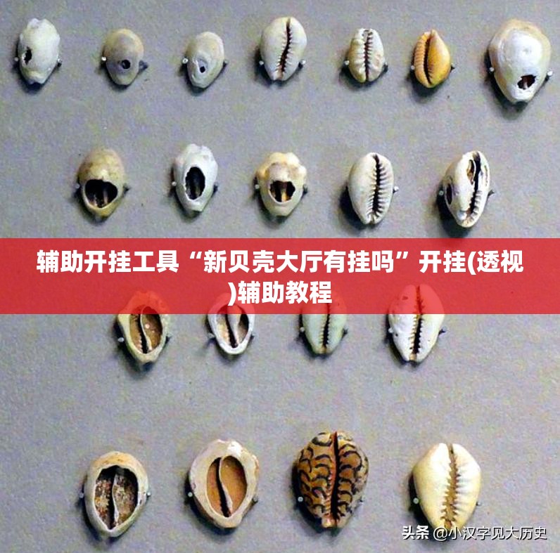 辅助开挂工具“新贝壳大厅有挂吗”开挂(透视)辅助教程