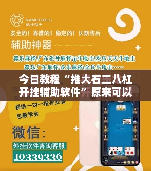今日教程“推大石二八杠开挂辅助软件”原来可以开挂