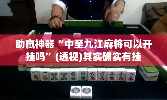 助赢神器“中至九江麻将可以开挂吗”(透视)其实确实有挂