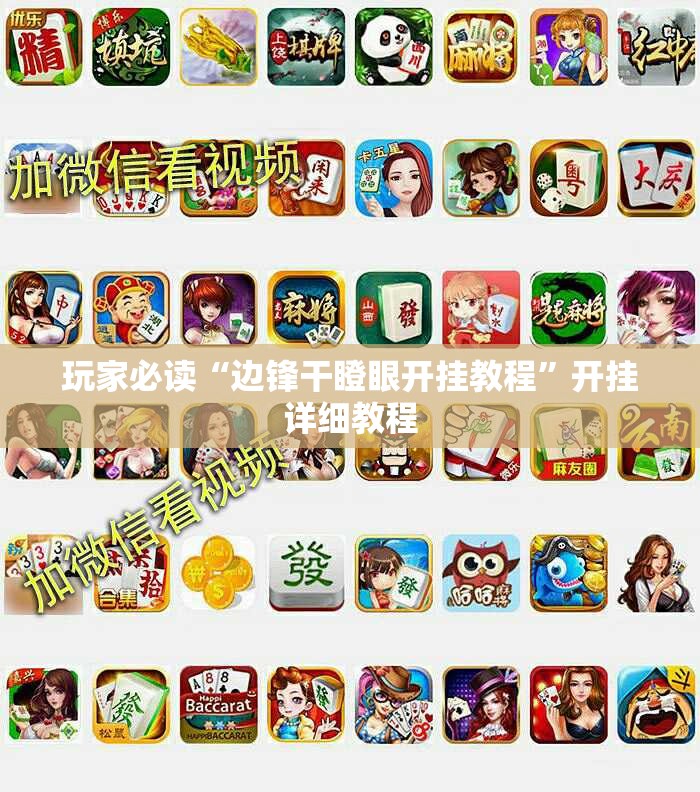 玩家必读“边锋干瞪眼开挂教程”开挂详细教程
