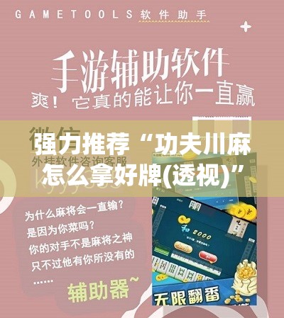 强力推荐“功夫川麻怎么拿好牌(透视)	”开挂辅助脚本+详细开挂安装教程