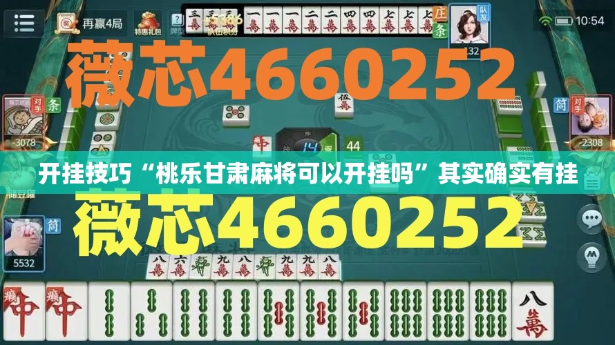 开挂技巧“桃乐甘肃麻将可以开挂吗”其实确实有挂