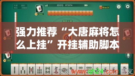 强力推荐“大唐麻将怎么上挂”开挂辅助脚本+详细开挂安装教程