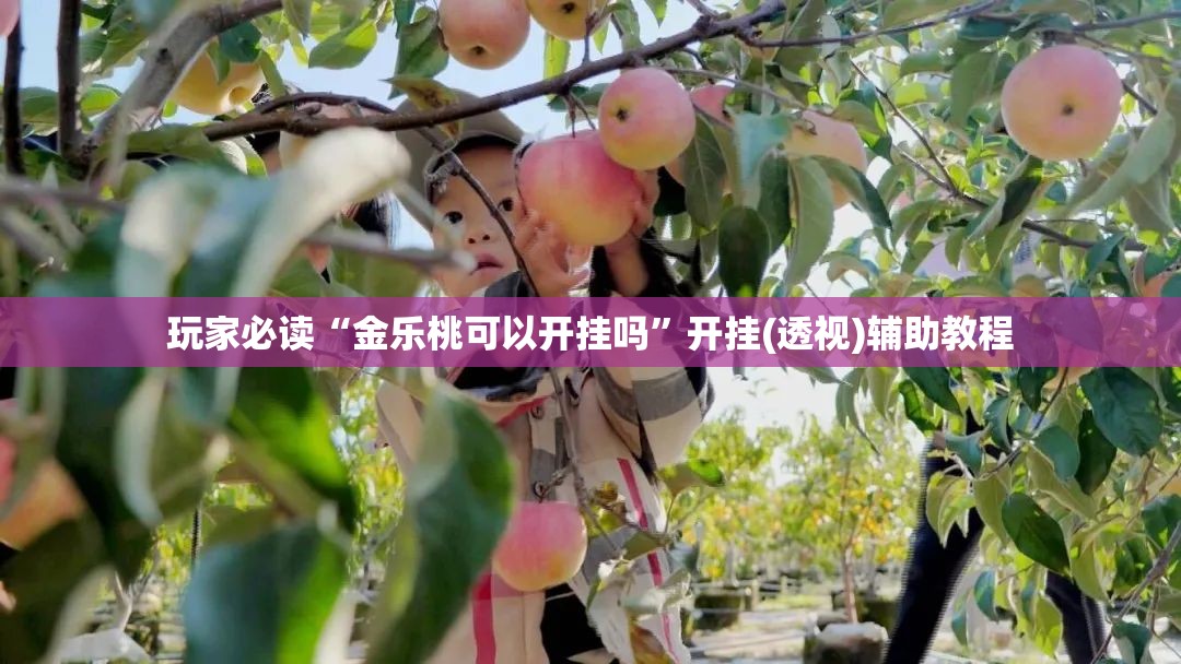 玩家必读“金乐桃可以开挂吗”开挂(透视)辅助教程