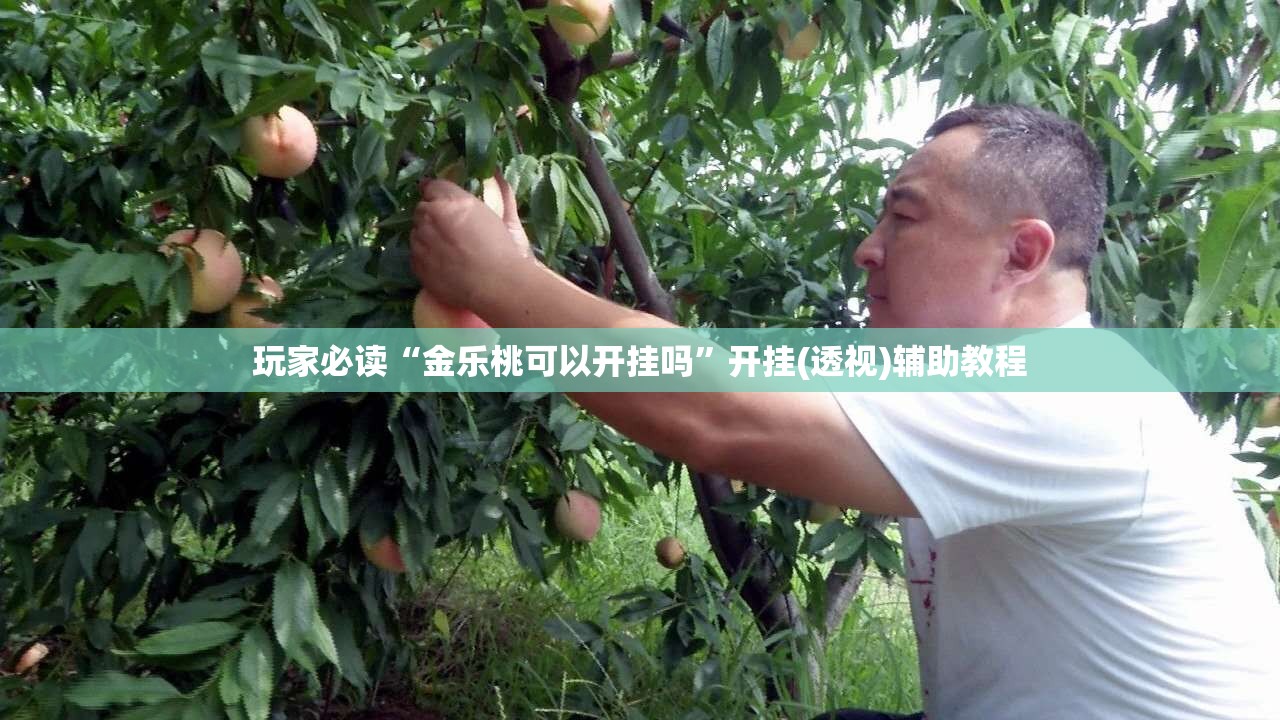 玩家必读“金乐桃可以开挂吗”开挂(透视)辅助教程