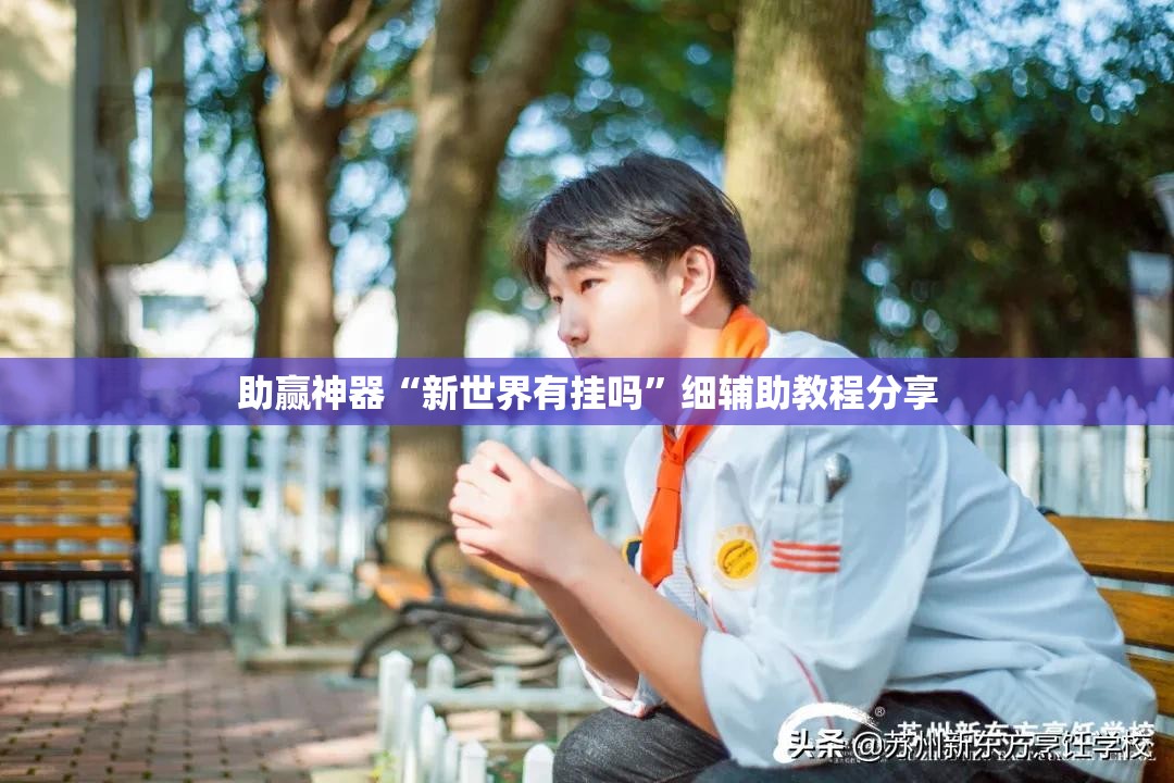 助赢神器“新世界有挂吗”细辅助教程分享