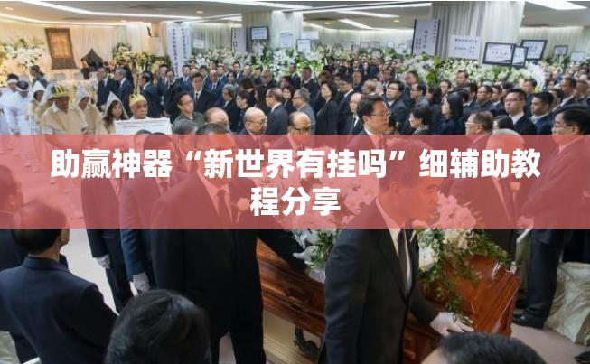 助赢神器“新世界有挂吗”细辅助教程分享