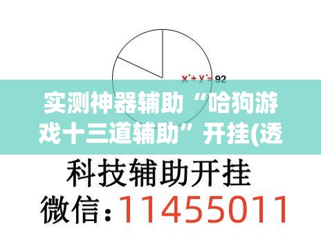 实测神器辅助“哈狗游戏十三道辅助	”开挂(透视)辅助神器