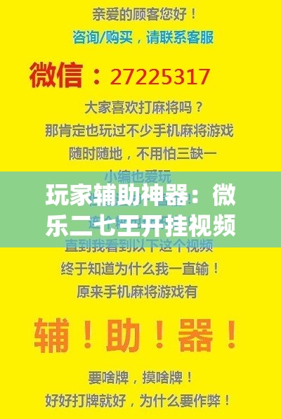 玩家辅助神器：微乐二七王开挂视频	”开挂(透视)辅助神器