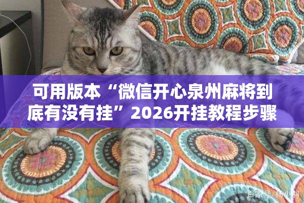 可用版本“微信开心泉州麻将到底有没有挂	”2026开挂教程步骤