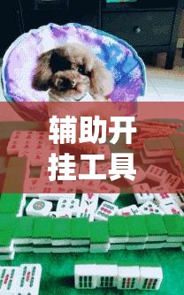 辅助开挂工具“闲来麻将有没有开挂的”细辅助教程分享