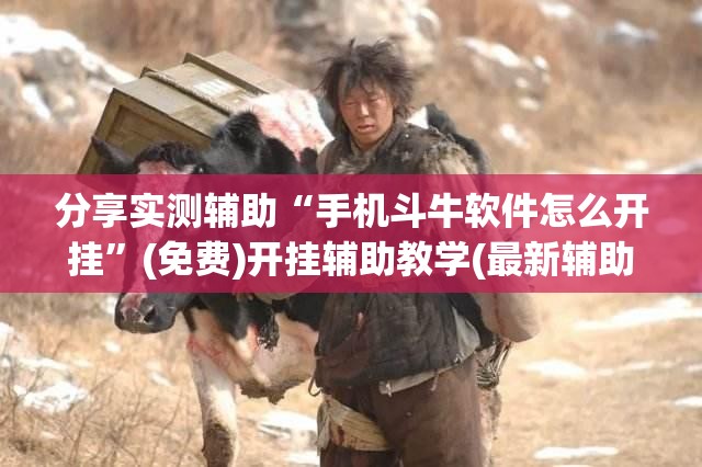 分享实测辅助“手机斗牛软件怎么开挂”(免费)开挂辅助教学(最新辅助开挂教程)