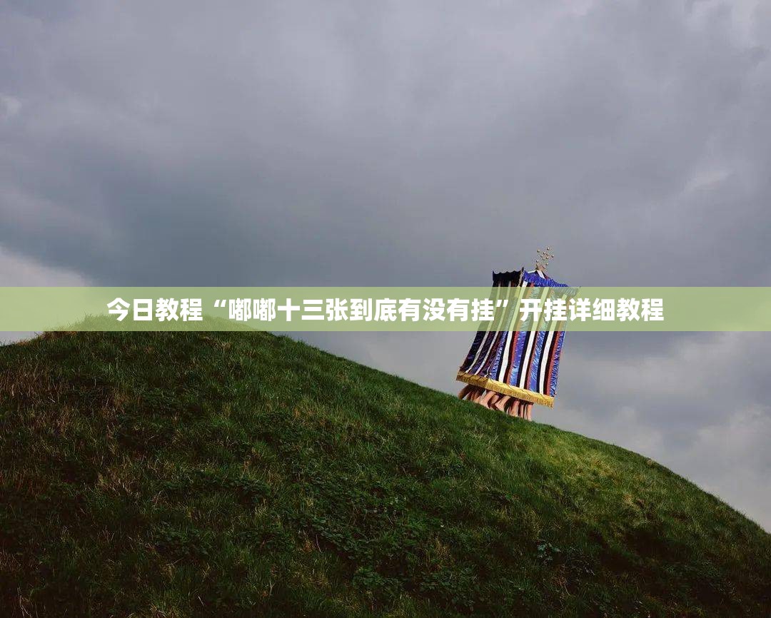 今日教程“嘟嘟十三张到底有没有挂	”开挂详细教程