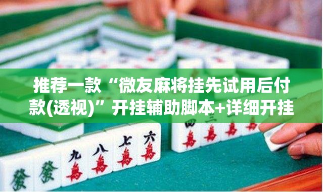 推荐一款“微友麻将挂先试用后付款(透视)”开挂辅助脚本+详细开挂安装教程
