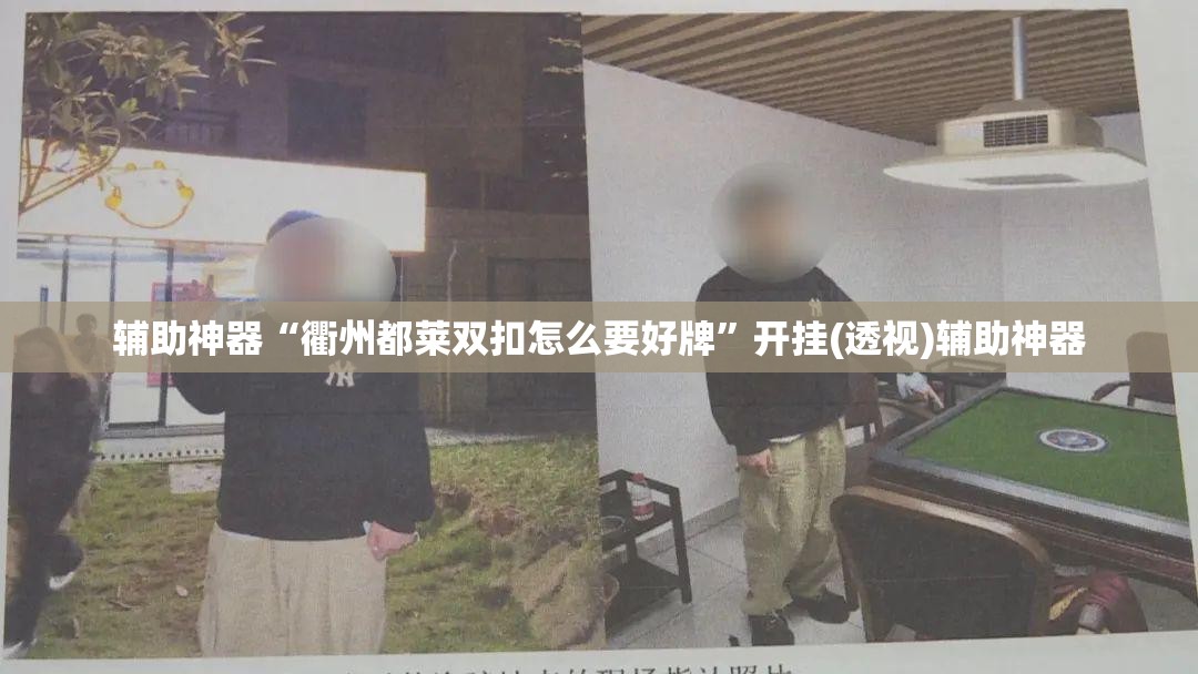 辅助神器“衢州都莱双扣怎么要好牌”开挂(透视)辅助神器