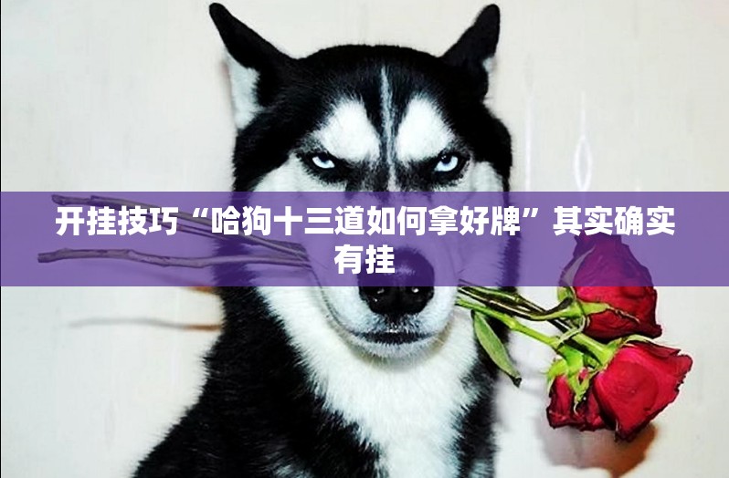 开挂技巧“哈狗十三道如何拿好牌	”其实确实有挂
