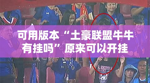 可用版本“土豪联盟牛牛有挂吗”原来可以开挂
