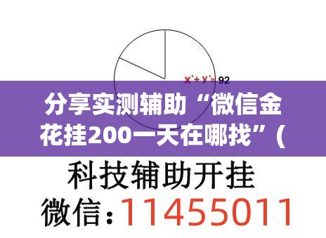 分享实测辅助“微信金花挂200一天在哪找”(透视挂)辅助下载教程