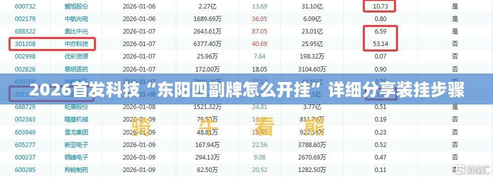 2026首发科技“东阳四副牌怎么开挂”详细分享装挂步骤
