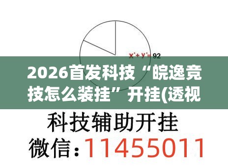 2026首发科技“皖逸竞技怎么装挂	”开挂(透视)辅助神器