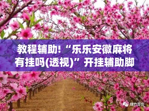 教程辅助!“乐乐安徽麻将有挂吗(透视)”开挂辅助脚本+详细开挂安装教程