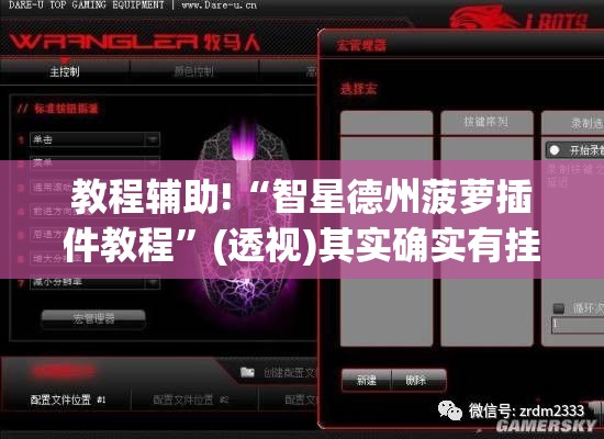 教程辅助!“智星德州菠萝插件教程”(透视)其实确实有挂