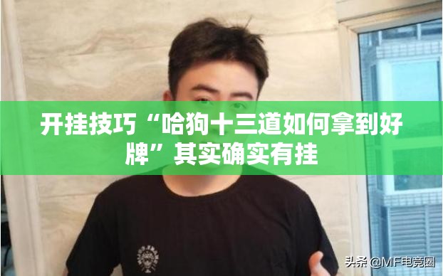 开挂技巧“哈狗十三道如何拿到好牌”其实确实有挂