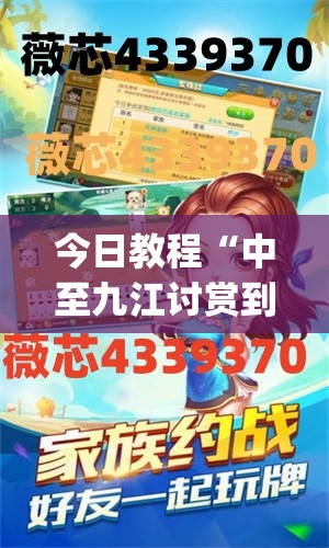 今日教程“中至九江讨赏到底有没有挂”开挂(透视)辅助教程