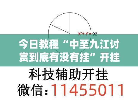 今日教程“中至九江讨赏到底有没有挂	”开挂(透视)辅助教程