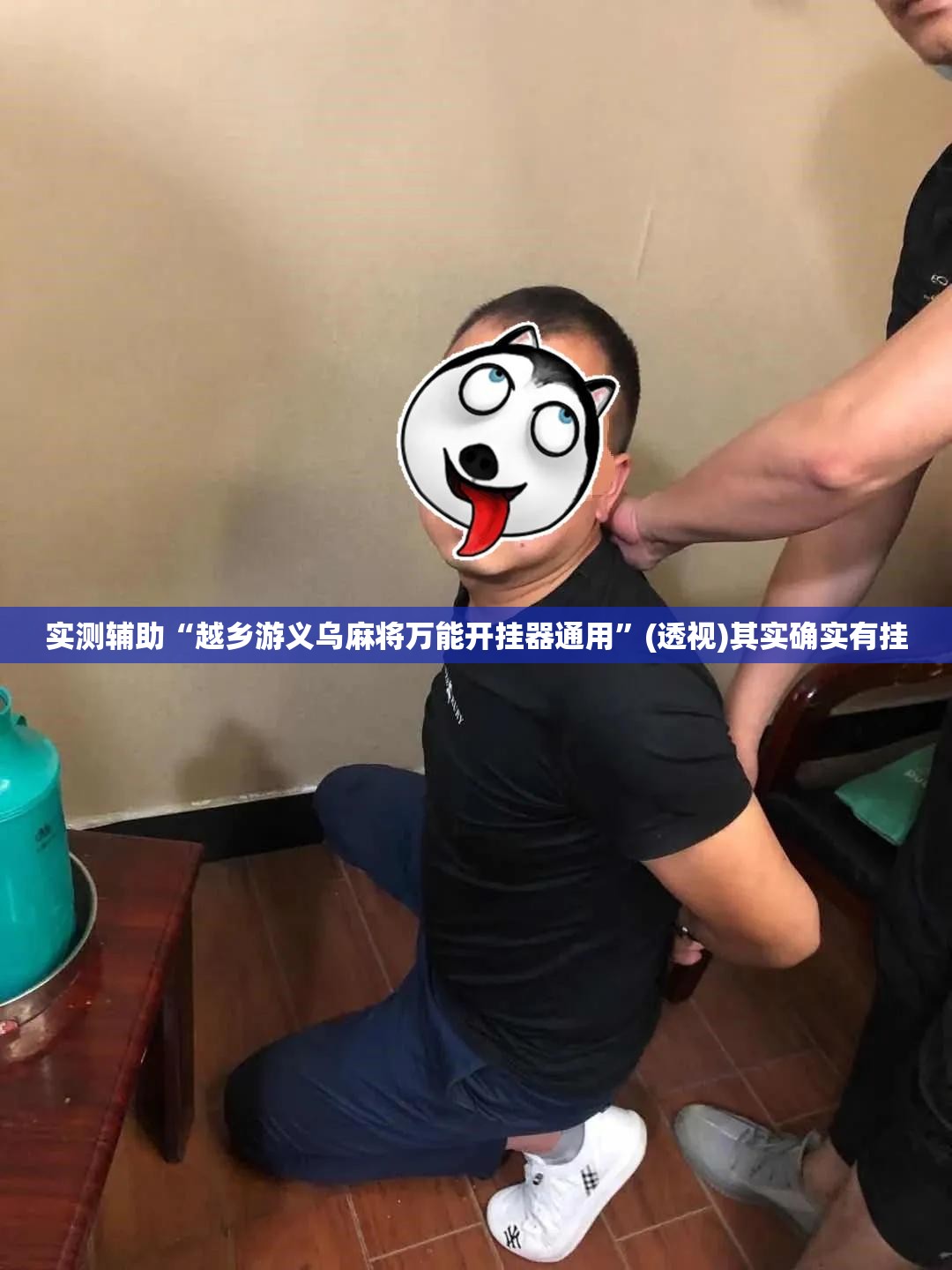 实测辅助“越乡游义乌麻将万能开挂器通用”(透视)其实确实有挂