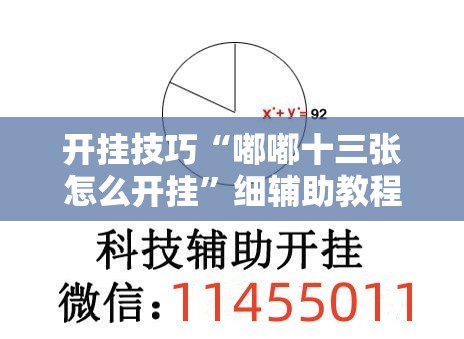 开挂技巧“嘟嘟十三张怎么开挂	”细辅助教程分享