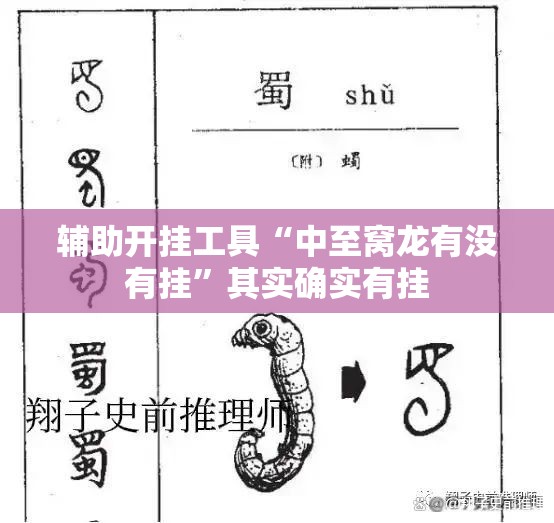 辅助开挂工具“中至窝龙有没有挂”其实确实有挂