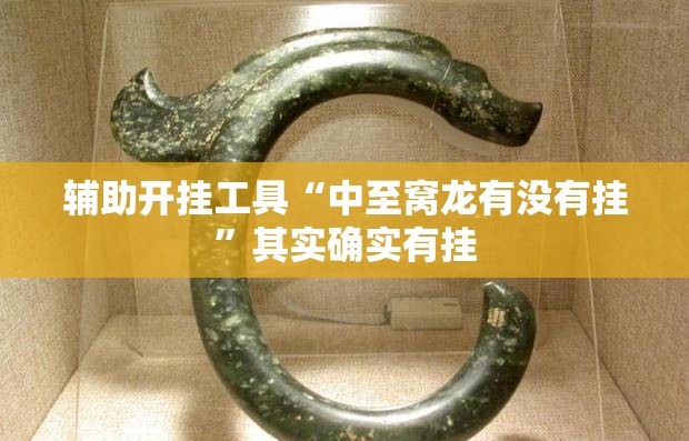 辅助开挂工具“中至窝龙有没有挂”其实确实有挂