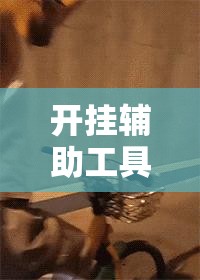 开挂辅助工具“开心联盟可以开挂吗”其实确实有挂