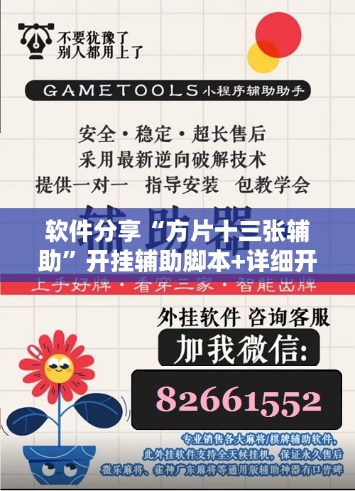 软件分享“方片十三张辅助”开挂辅助脚本+详细开挂安装教程