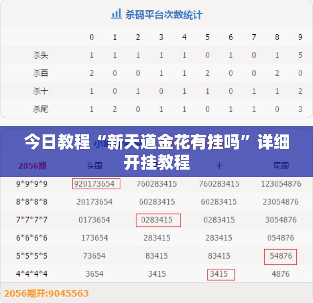 今日教程“新天道金花有挂吗”详细开挂教程