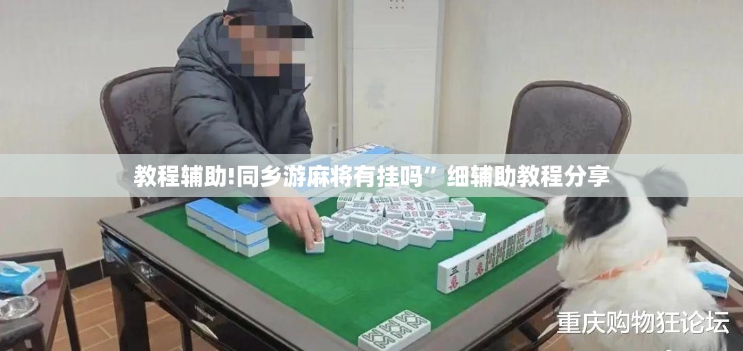 教程辅助!同乡游麻将有挂吗”细辅助教程分享