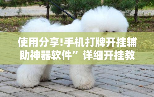 使用分享!手机打牌开挂辅助神器软件	”详细开挂教程