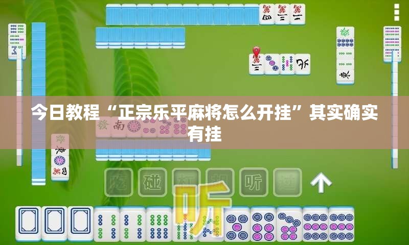 今日教程“正宗乐平麻将怎么开挂”其实确实有挂