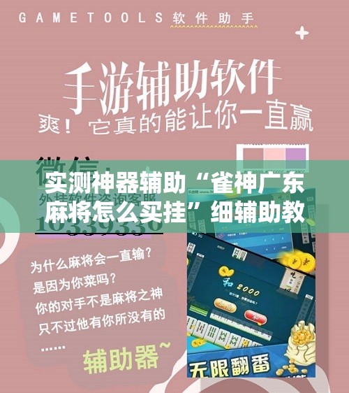 实测神器辅助“雀神广东麻将怎么买挂”细辅助教程分享