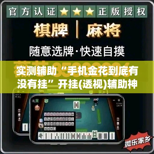 实测辅助“手机金花到底有没有挂”开挂(透视)辅助神器