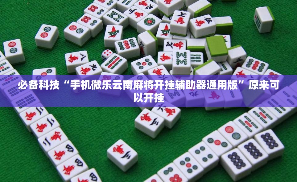 必备科技“手机微乐云南麻将开挂辅助器通用版	”原来可以开挂