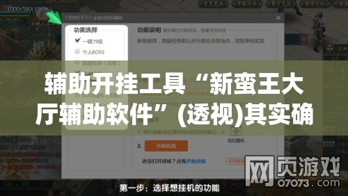 辅助开挂工具“新蛮王大厅辅助软件”(透视)其实确实有挂