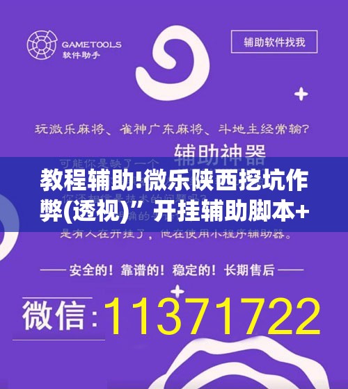 教程辅助!微乐陕西挖坑作弊(透视)”开挂辅助脚本+详细开挂安装教程