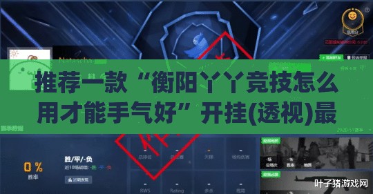 推荐一款“衡阳丫丫竞技怎么用才能手气好”开挂(透视)最新辅助详细
