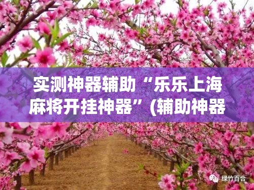 实测神器辅助“乐乐上海麻将开挂神器	”(辅助神器)开挂详细教程