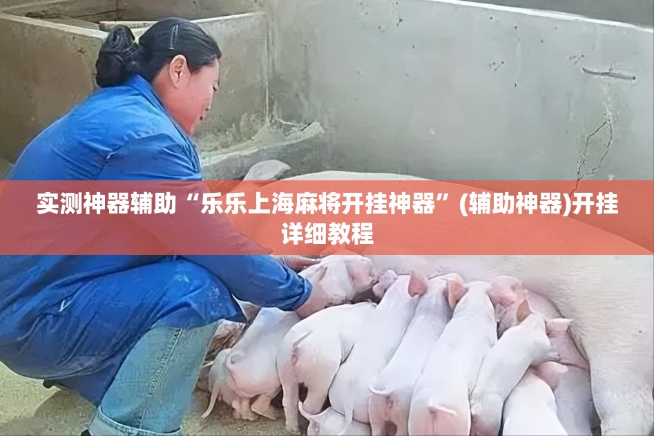 实测神器辅助“乐乐上海麻将开挂神器”(辅助神器)开挂详细教程