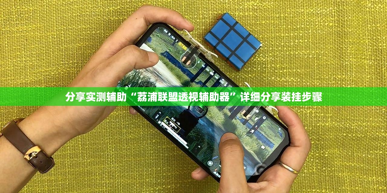 分享实测辅助“荔浦联盟透视辅助器	”详细分享装挂步骤