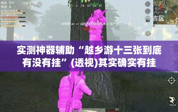 实测神器辅助“越乡游十三张到底有没有挂	”(透视)其实确实有挂