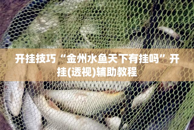 开挂技巧“金州水鱼天下有挂吗”开挂(透视)辅助教程